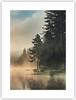 Produktbild von Poster - Poster ohne Rahmen - Nebel See Wald - 30x40 cm - Wand Bild - Wanddeko - Wandbilder - Kunstposter - Wandposter - Bilder - Kunstdruck - Wanddekoration - Wandbild - P2XPA30x40-4440