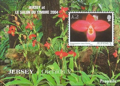 Produktbild von Briefmarken GB - Jersey 2004 Mi Block44I (kompl.Ausg.) postfrisch Orchideen