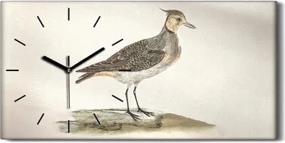 Produktbild von Leinwand Uhr Küche Wohnzimmer Bild Geräuschlos 60x30 Malerei Tier Vogel Kunst - schwarze Hände