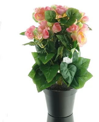 Produktbild von GASPER Elatior-Begonie Rosa im schwarzen Topf 38 cm - Kunstblumen