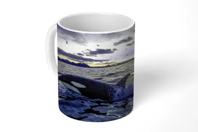 Produktbild von KitchenYeah® Tasse Kaffeetasse Kaffeebecher 350 ml Orca bei Sonnenaufgang Teetasse - Fototasse - Becher - Keramikbecher - Teebecher - Kaffeetasse - Bürotasse