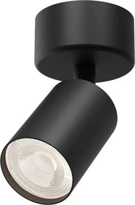Immagine prodotto di Braytron Plafonaio a faretto a 1 luce, nero, LED, attacco GU10, orientabile