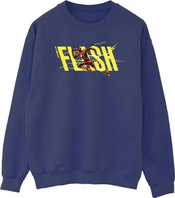 Produktbild von DC Comics - Sweatshirt für Herren BI47263 (L) (Marineblau)