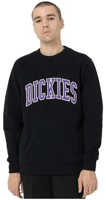 Obrázok produktu pre Mikina Dickies DK0A4XAB pre Pánske