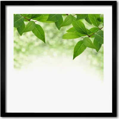 Produktbild von Bild - 50 cm x 50 cm - MDF - Rahmen, Wandkunst - Grüne Blätter