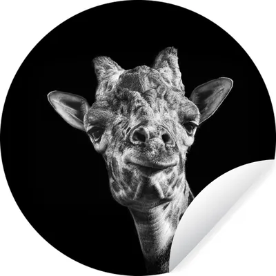 Produktbild von MuchoWow® Runde Wandtattoo - Wandsticker Tapete Aufkleber Giraffe - Tier - Schwarz - Weiß Ø 100 cm Selbstklebend und Repositionierbar - Wandaufkleber - Kreis - Tapetenkreis - Wandbild rund - Schlafzimmerdekoration - Wanddeko - runde Tapete - Kunst für zu Hause