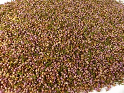 Produktbild von Erikablüten (Heidekrautblüten) Naturideen® 100g