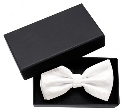 Produktbild von Fabio Farini - 1 Stück Weiße Herren Fliegen - Männer Querbinder Vorgebunden Bowtie Streifen - Weiß - White Snake