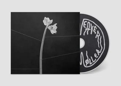 Obrázok produktu pre Trentemøller: Trentemøller: Dreamweaver -   - (CD / D)