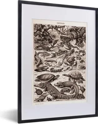 Produktbild von MuchoWow® Gerahmtes Poster Reptilien - Tiere - Schwarz - Weiß 30x40 cm - Poster mit Schwarzem Bilderrahmen Wandposter Rahmen Foto Bilder - Wandposter Schlafzimmer