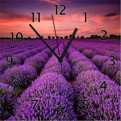 Produktbild von Wallario Design Wanduhr Lavendelfeld unter rotem Himmel aus Echtglas, Größe 30 x 30 cm