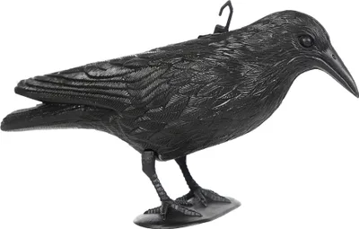 Produktbild von Taubenschreck "Krähe" H25 schw