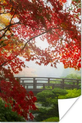 Produktbild von MuchoWow® Poster Japanischer Ahorn - Bäume - Brücke - Natur - Japanisch 80x120 cm - Papierdruck