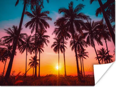 Produktbild von MuchoWow® Poster Palme - Sonnenuntergang - Horizont - Strand - Orange - Rosa 160x120 cm - Foto Plakat