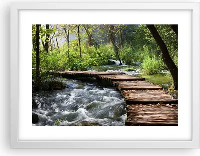 Produktbild von Gerahmtes Poster - Weißer Rahmen - Park natur grün bäume - 40x30 cm - Wand Bild - Wanddeko - Wandbilder - Kunstposter - Wandposter - Bilderrahmen - Bilder - Kunstdruck - Wandbild - P2WAA40x30-0356