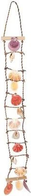 Produktbild von Something Different - Leiter, Muscheln SD1925 (Einheitsgröße) (Bunt)
