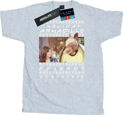 Produktbild von Friends - "Holiday Armadillo" T-Shirt für Herren BI25818 (M) (Grau)