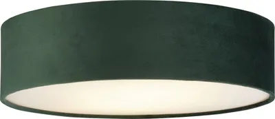 A close-up view of a dark green, drum-shaped ceiling light with a white diffuser at the bottom.