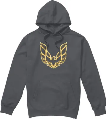 Image de Pontiac - "Iconic Firebird" sweat à capuche homme/femme unie TV23216 (L) (Charbon de bois)