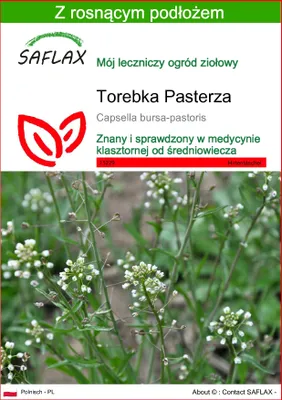 Zdjęcie produktu dla SAFLAX - Torebka Pasterza - 1000 Nasiona - Z podłożem uprawowym wolnym od zarazków - Capsella bursa-pastoris