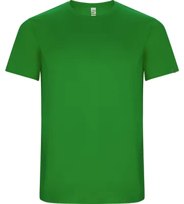 Produktbild von Roly Eco - "Imola" T-Shirt für Herren LT3663 (M) (Farngrün)