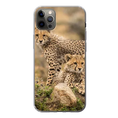 Produktbild von MuchoWow® Handyhülle Schutzhülle Hülle für iPhone 12 Pro Max Leopard - Jungtier - Natur Silikon Softcase Handy Hülle - Hartschale