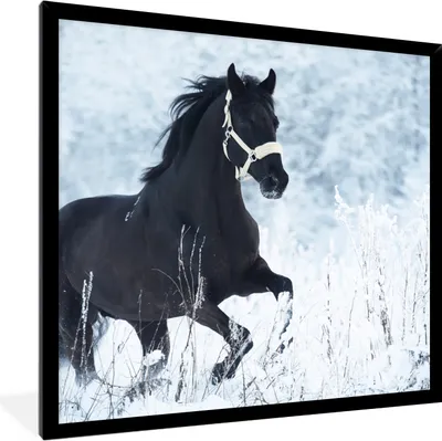 Produktbild von MuchoWow® Gerahmtes Poster Pferd - Schnee - Winter 40x40 cm - Poster mit Schwarzem Bilderrahmen Wandposter Rahmen Foto Bilder - Mit Rahmen - Wanddekoration Schlafzimmer