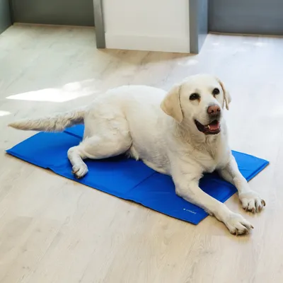 Produktbild von Navaris Kühlmatte Hund Kühldecke Katzen - Abkühlung Kühlmittel für Tiere - Gelmatte für Bett oder Auto - Regulierung der Körpertemperatur -