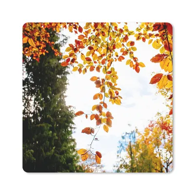 Produktbild von MuchoWow® Mauspad Mousepad Herbst - Laub - Natur 30x30 cm - Mousepads - Maus Mat - Pad - Mausunterlage - Gaming