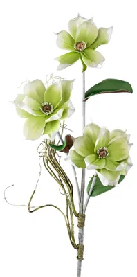 Produktbild von Kunstblume Magnolie formano