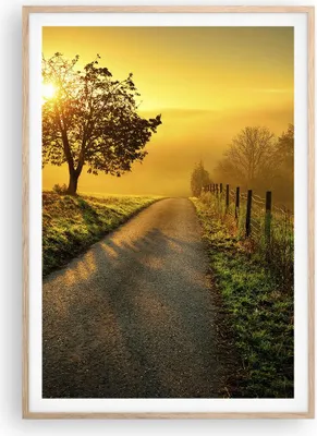 Produktbild von Gerahmtes Poster - Rahmen in heller Eiche - Feld Straße Baum - 70x100 cm - Wand Bild - Wanddeko - Wandbilder - Wandposter - Bilderrahmen - Bilder - Kunstdruck - Wandbild - P2NPA70x100-3851