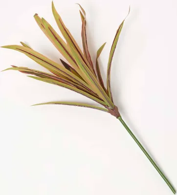 Immagine prodotto di HOMESCAPES Ramo artificiale di yucca rosso, alto 66 cm