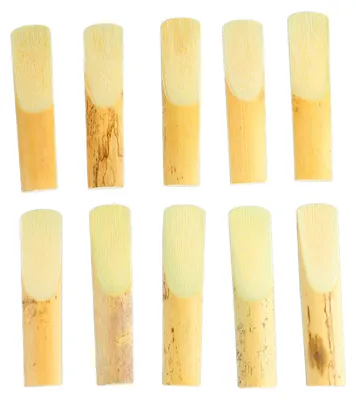 Image de 10 anches pour saxophone alto, accessoires professionnels traditionnels, pour une force de 2