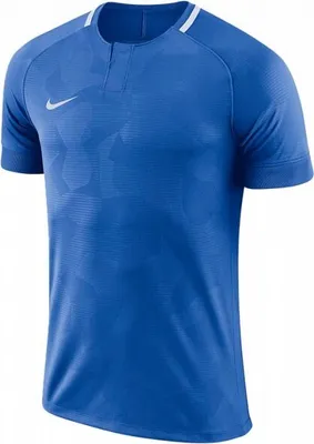 Produktbild von Nike M NK DRY CHALNG II JSY SS | ROYAL BLUE/WHITE/ROYAL BLUE/WHITE | Größe: S