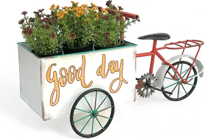 Image de DanDiBo Vélo à fleurs pour le jardin Métal Debout Vélo Blanc Rouge 96529 Vélo à plantes Vélo décoratif Support à fleurs