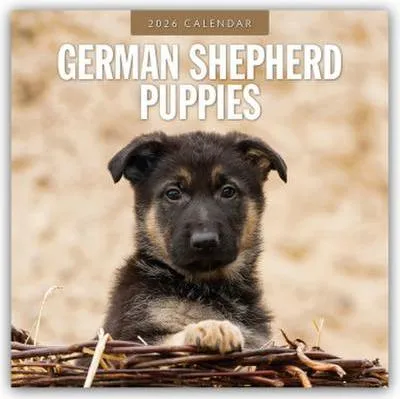 Produktbild von German Shepherd Puppies - Deutsche Schäferhunde Welpen 2026 - 16-Monatskalender