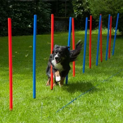 Produktbild von Procyon Agility-Hürden-Set