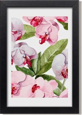 Produktbild von Bild 20x30 MDF-Rahmen, Wandkunst Orchidee
