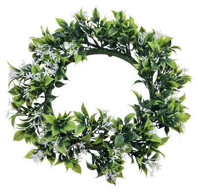 Productafbeelding van EUROPALMS Jasmijnkrans, 30 cm (83500503)