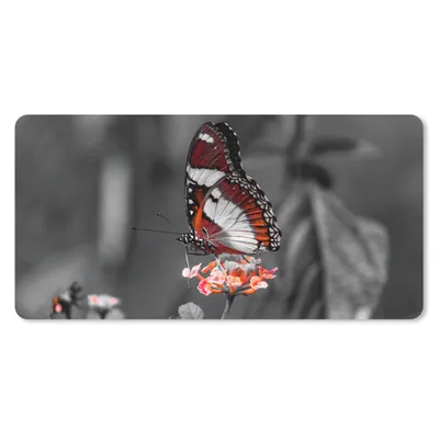 Produktbild von MuchoWow® Schreibtischunterlage Schmetterling - Tiere - Blumen - Schwarz und weiß - Orange 80x40 cm - XXL Mauspad - Gaming Mauspad