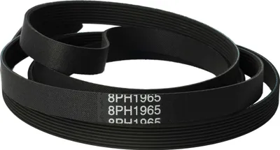 A black serpentine belt is coiled on a white background.