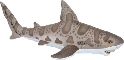 Produktbild von Wild Republic - Kuscheltier - Living Ocean - Leopardenhai