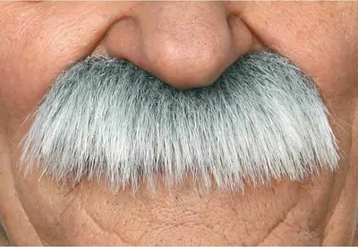 Obrázek produktu pro Moustache My Other Me One Size Grey