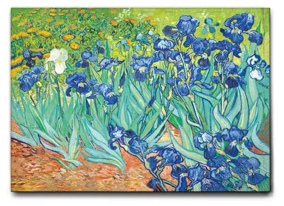 Immagine prodotto di Vincent Van Gogh - Iris - 100L x 70l cm - Quadro Tela Canvas Telaio Standard