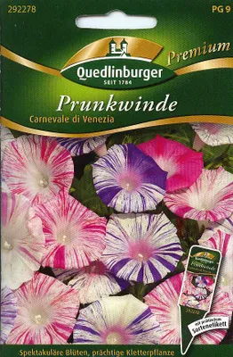 Produktbild von Prunkwinden Carnevale di Vene | Windensamen von Quedlinburger [MHD 01/2026]
