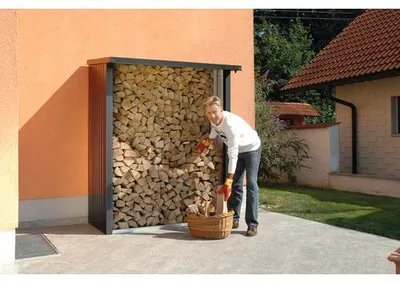 Obrázek produktu pro Přístřešek na dřevo Biohort WoodStock 150 plechový 157 x 102 x 199 cm tmavě šedý metalický