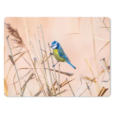 Produktbild von MuchoWow® Mauspad Mousepad Vogel - Blaumeise - Schilf 23x19 cm - Mousepads - Maus Mat - Pad - Mausunterlage - Schreibtischunterlage - Mauspad