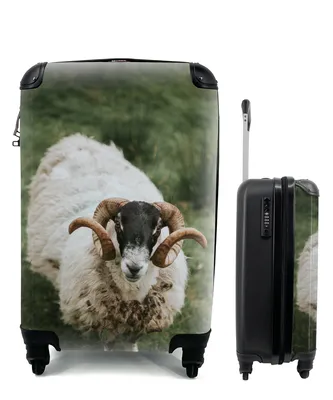 Produktbild von MuchoWow® Koffer Handgepäck Trolley Rollkoffer Kleine Reisekoffer mit 4 Rollen - Schaf - Horn - Porträt - Cabin Size < 55x40x23 cm & 55x40x20 cm - Fotokoffer - Kabinenkoffer - Boardgepäck - Reise-Box - Reisekoffer - Reisegepäck - Koffer mit Bild - Trolley für Kinder