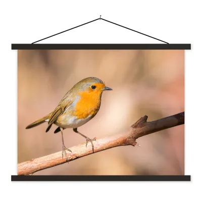 Produktbild von MuchoWow® Textilposter Vogel - Zweig - Rotkehlchen 150x113 cm mit holzfarbenen Rahmen - Poster