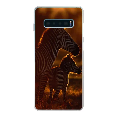 Produktbild von MuchoWow® Handyhülle Schutzhülle Hülle für Samsung Galaxy S10 Plus Zebra - Sonne - Fohlen Silikon Softcase Handy Hülle - Schutzhülle